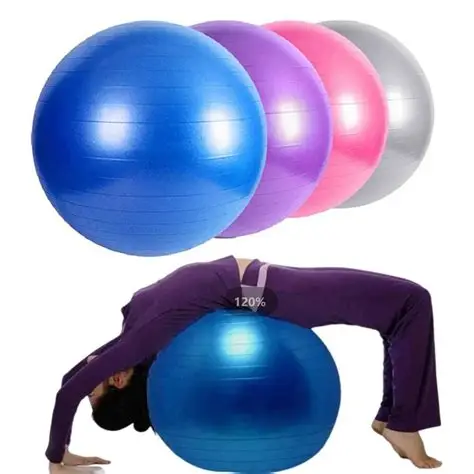 Gym Ball / Swiss Ball